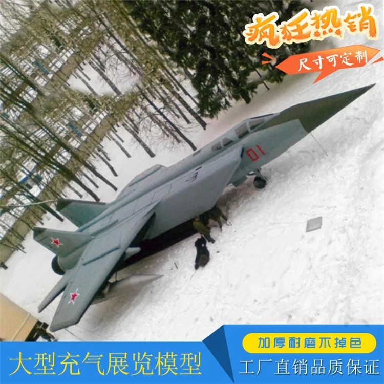 岑巩充气飞机气模厂家